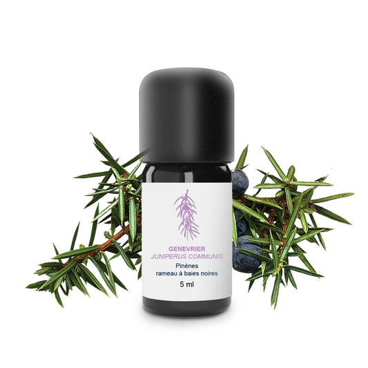 Huile Essentielle de Genévrier 100% Bio et Artisanal