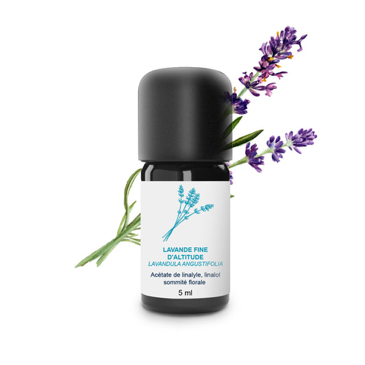 Huile Essentielle de Lavande fine d'altitude 100% Bio et Artisanal