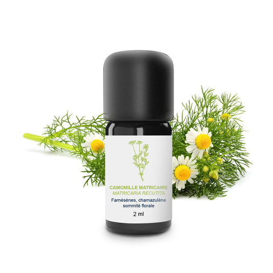 Huile Essentielle de Camomille Matricaire 100% Bio et Artisanal