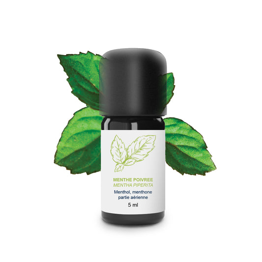 Huile Essentielle de Menthe poivrée 100% Bio et Artisanal