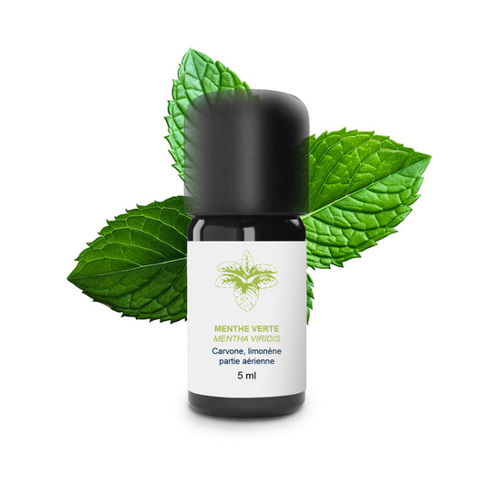 Huile Essentielle de Menthe verte 100% Bio et Artisanal