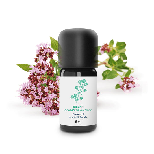 Huile Essentielle d'Origan 100% Bio et Artisanal