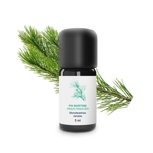 Huile Essentielle de Pin maritime 100% Bio et Artisanal