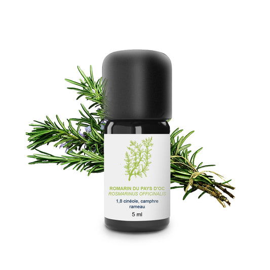 Huile Essentielle de Romarin du Pays d'Oc 100% Bio et Artisanal