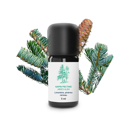 Huile Essentielle de Sapin pectiné 100% Bio et Artisanal