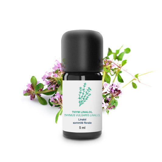 Huile Essentielle de Thym linalol 100% Bio et Artisanal