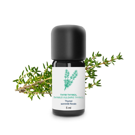 Huile Essentielle de Thym thymol 100% Bio et Artisanal