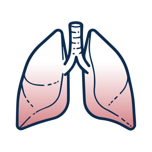 Allergies Respiratoires