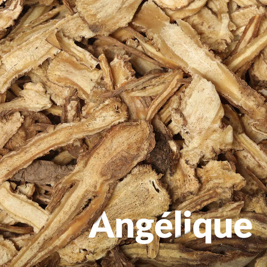 Angélique (Racine)