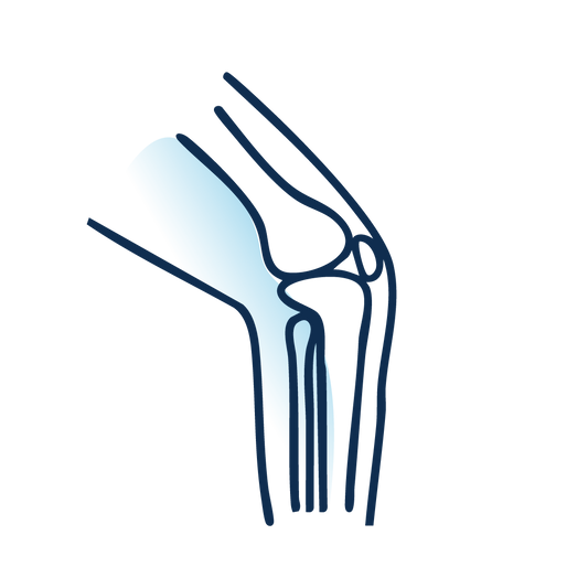Articulations