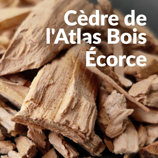Cèdre de l'Atlas (Écorce)