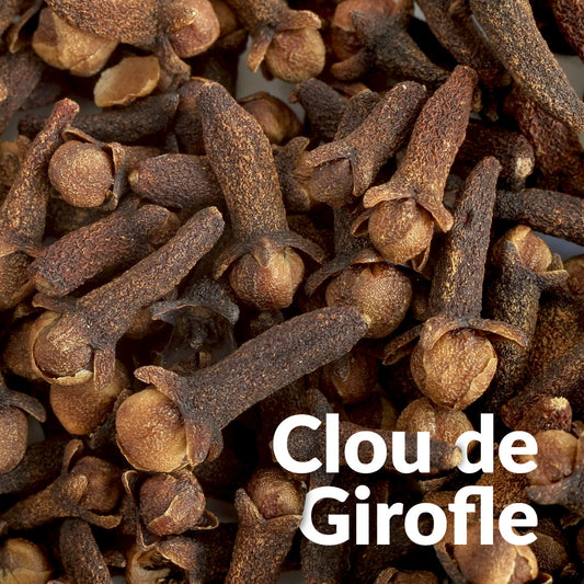 Clou de girofle