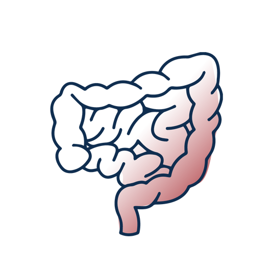 Digestion Difficile