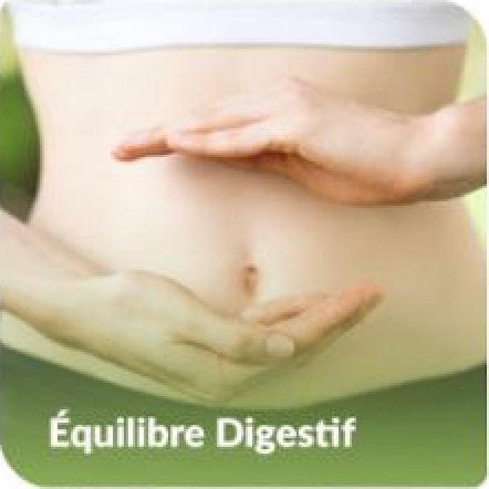 Équilibre Digestif
