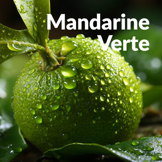 Mandarine verte