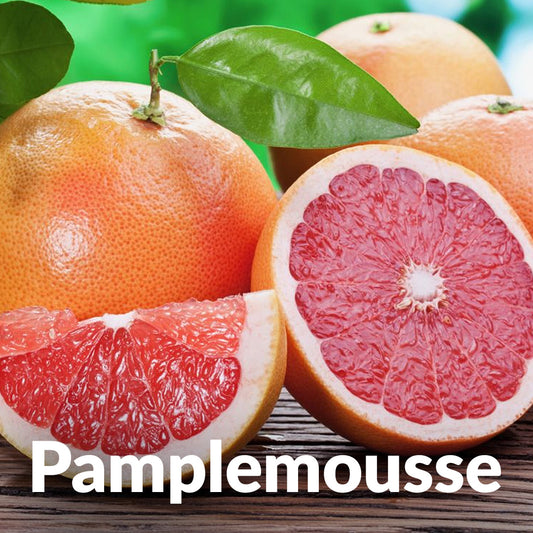 Pamplemousse
