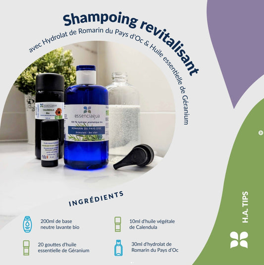 Recette cheveux ternes après exposition intense au soleil ou à l’eau de mer 