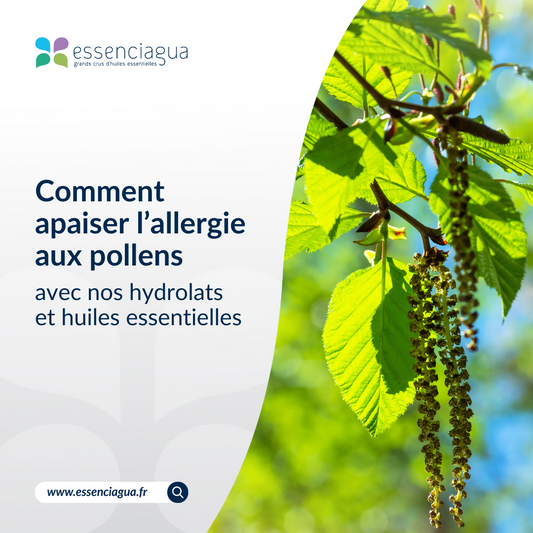Recommandation HA anti-allergie