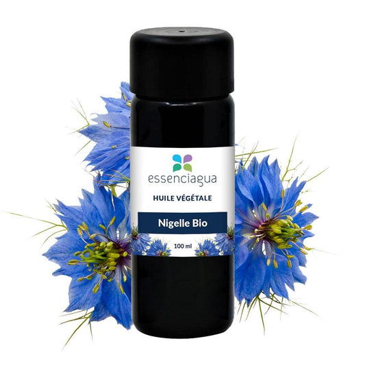 Focus sur la nigelle