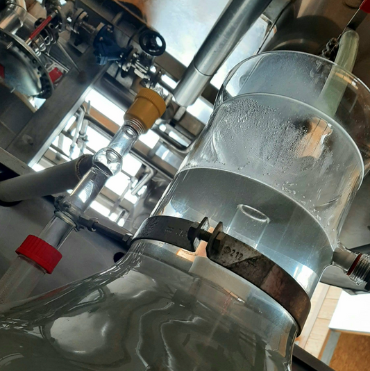 Les secrets d’un grand cru Essenciagua