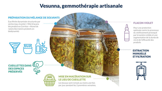 La différence Essenciagua-Vesunna