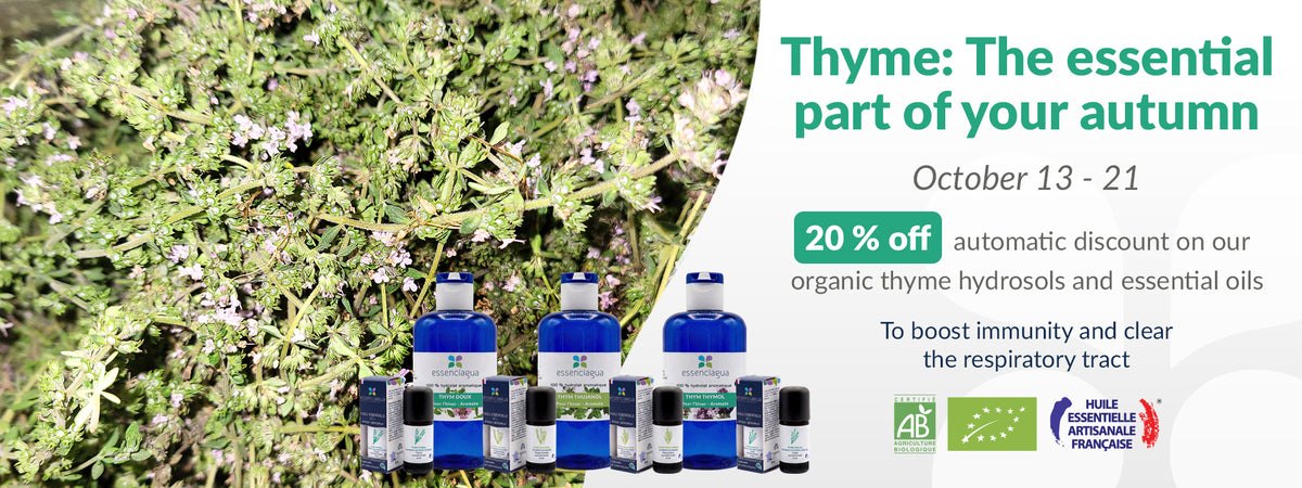 La Saison des Thyms