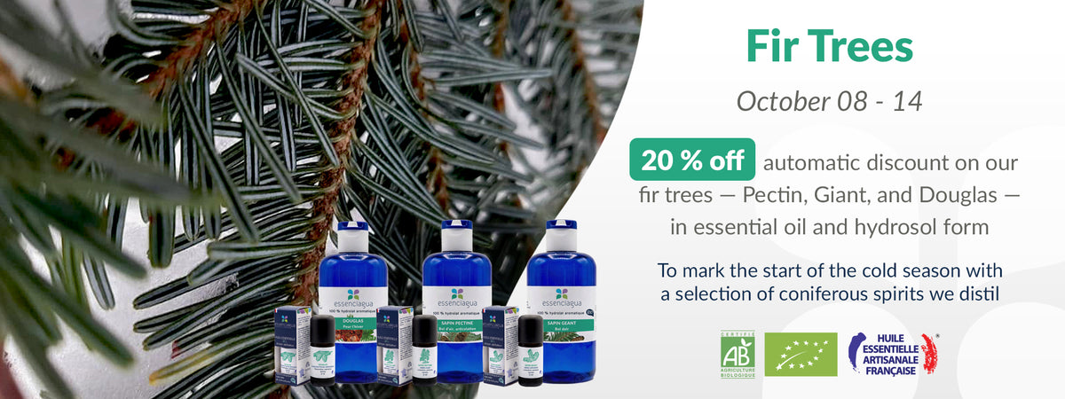 Les Sapins