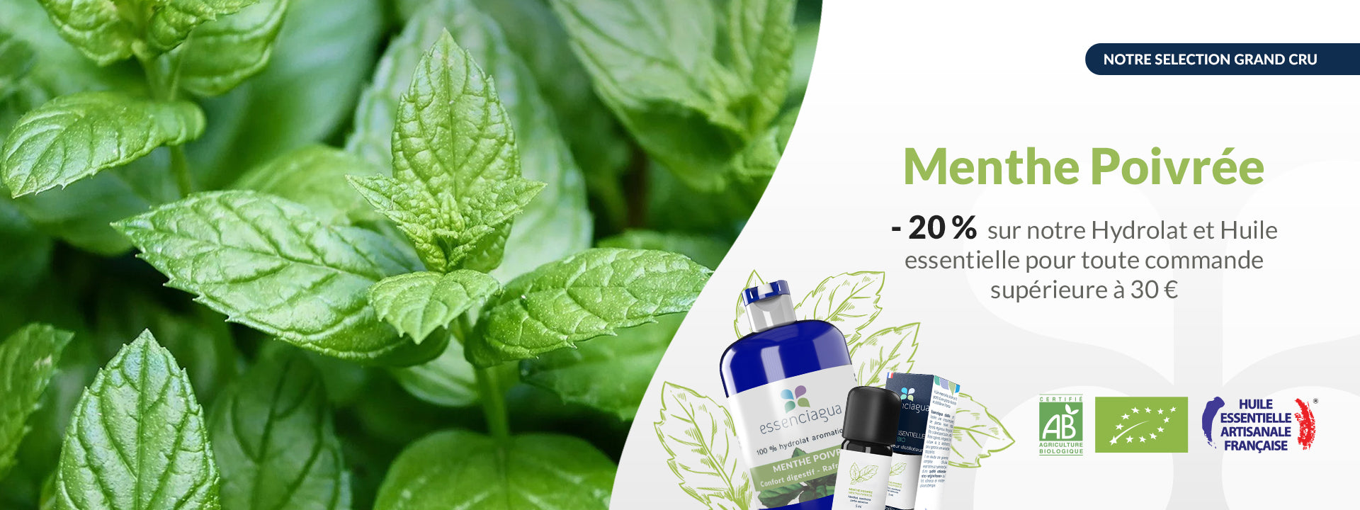 Menthe Poivree