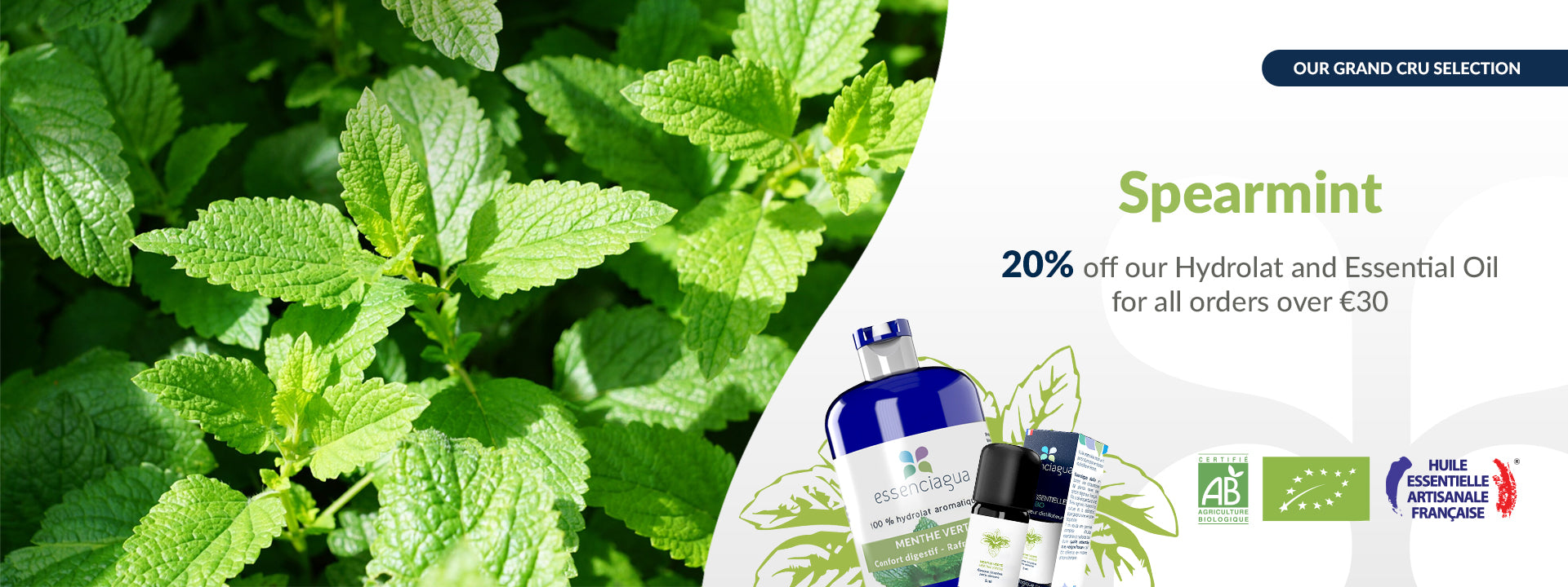Menthe Verte