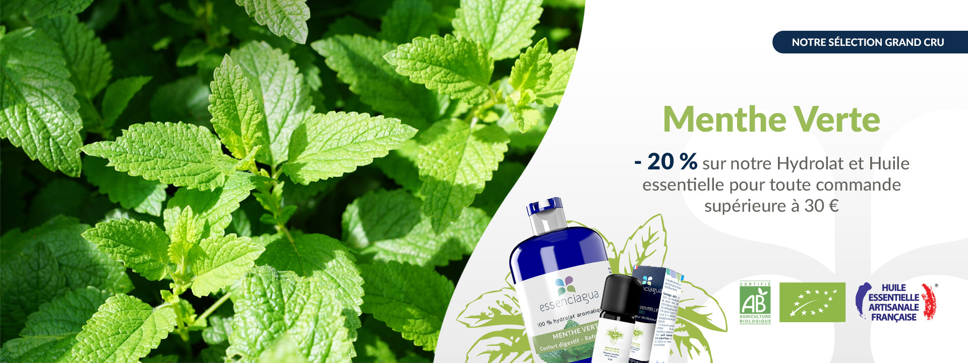 Menthe Verte