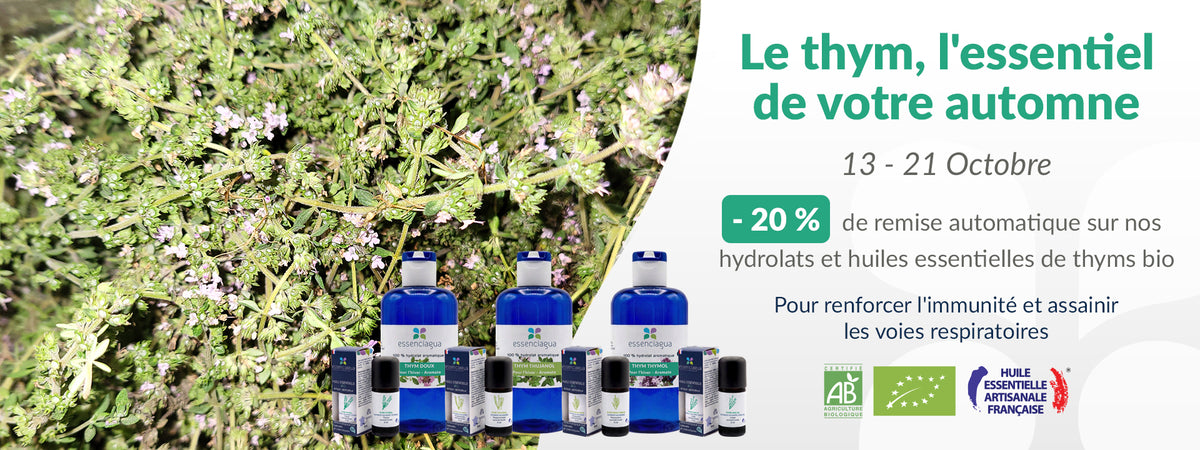 La Saison des Thyms