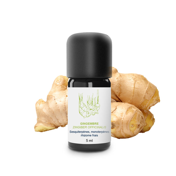 Huile Essentielle de Gingembre frais - Essenciagua