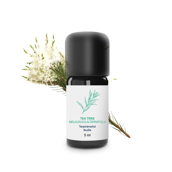 Huile Essentielle de  Tea tree 100% Bio et Artisanal