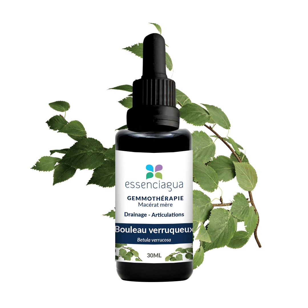 Product media 1