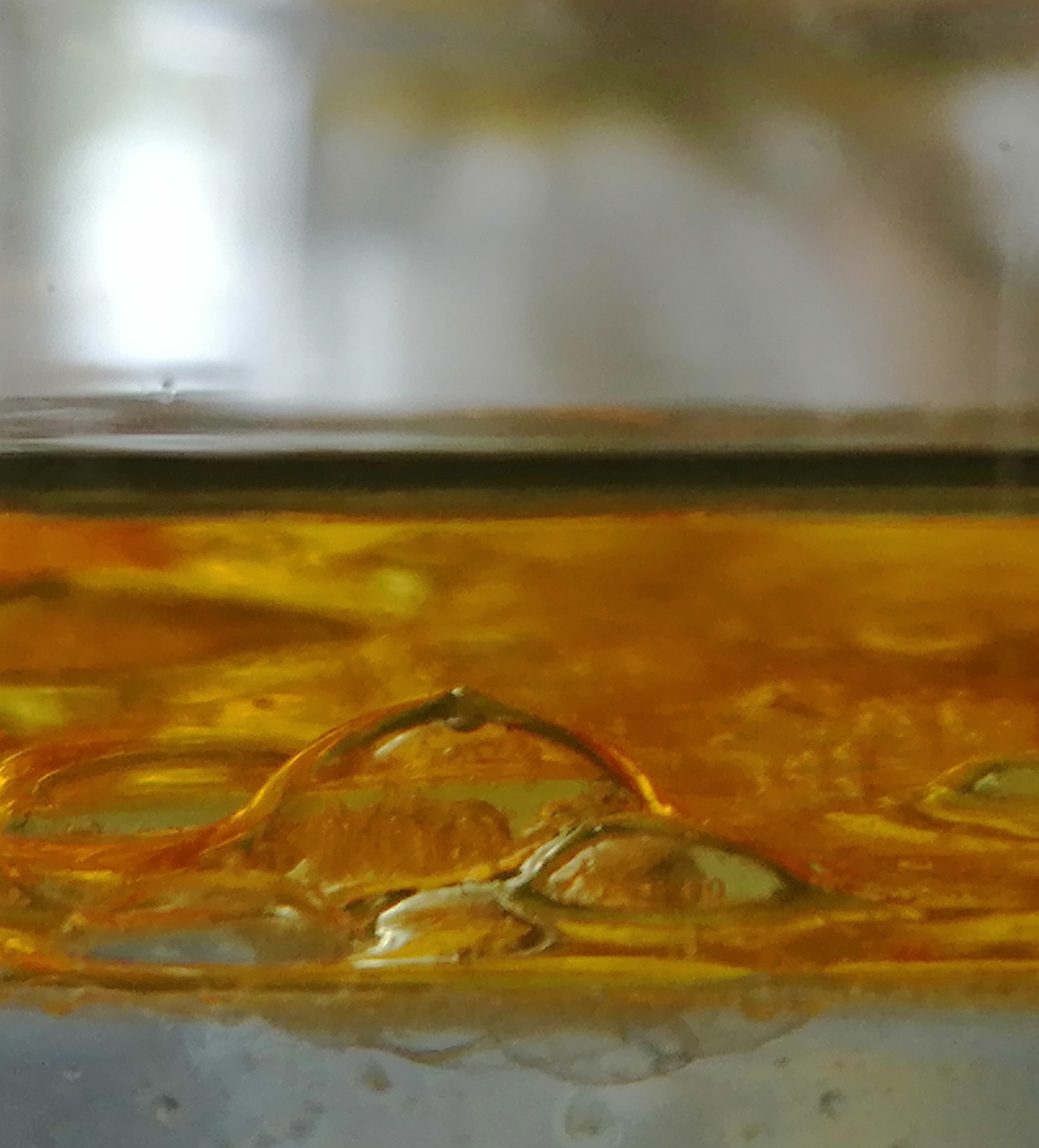 Discover the distillation Lemon verbena from Tarn
