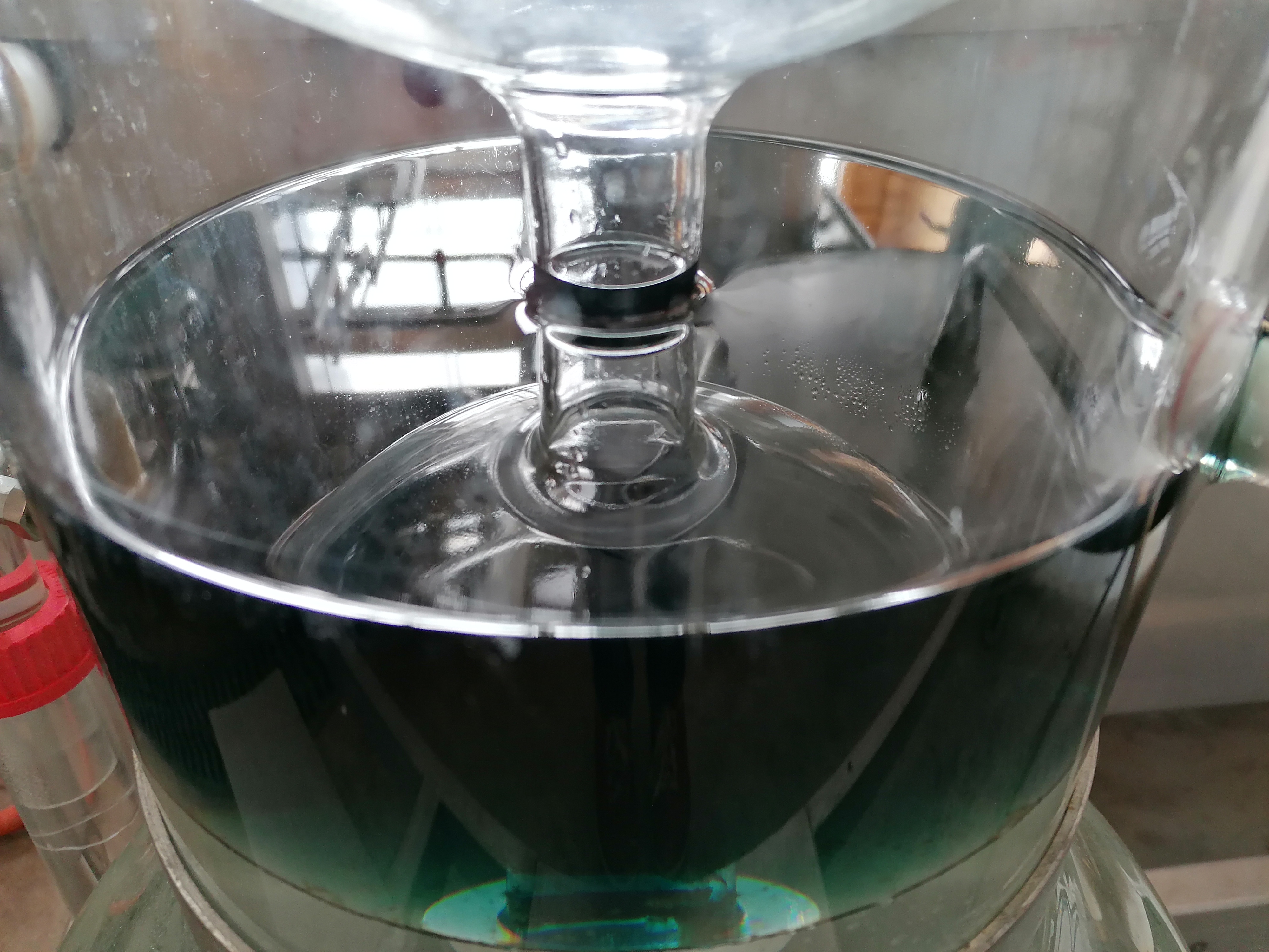 Decouvrez la distillation Géranium type bourbon
