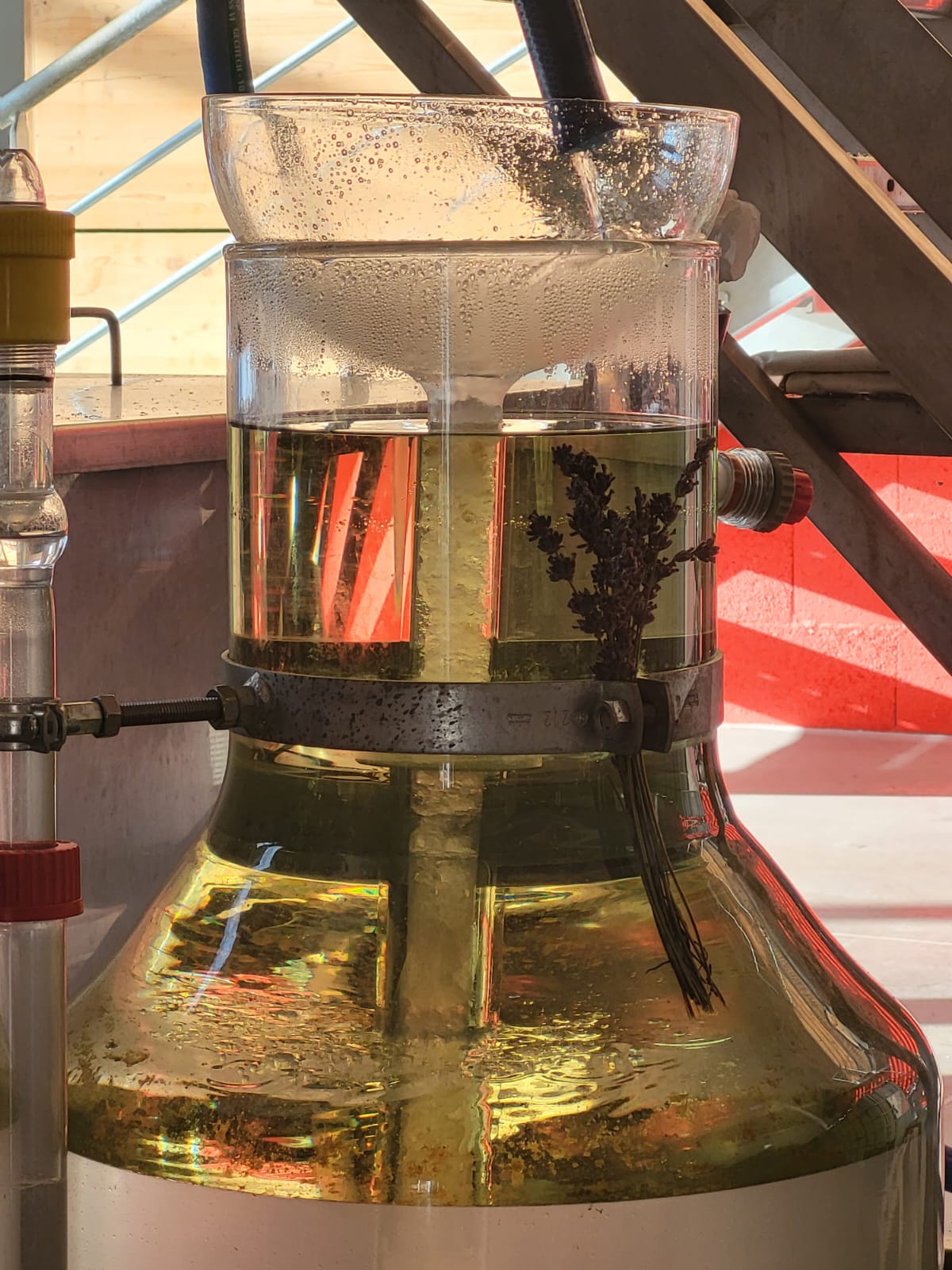 Distillation Photo