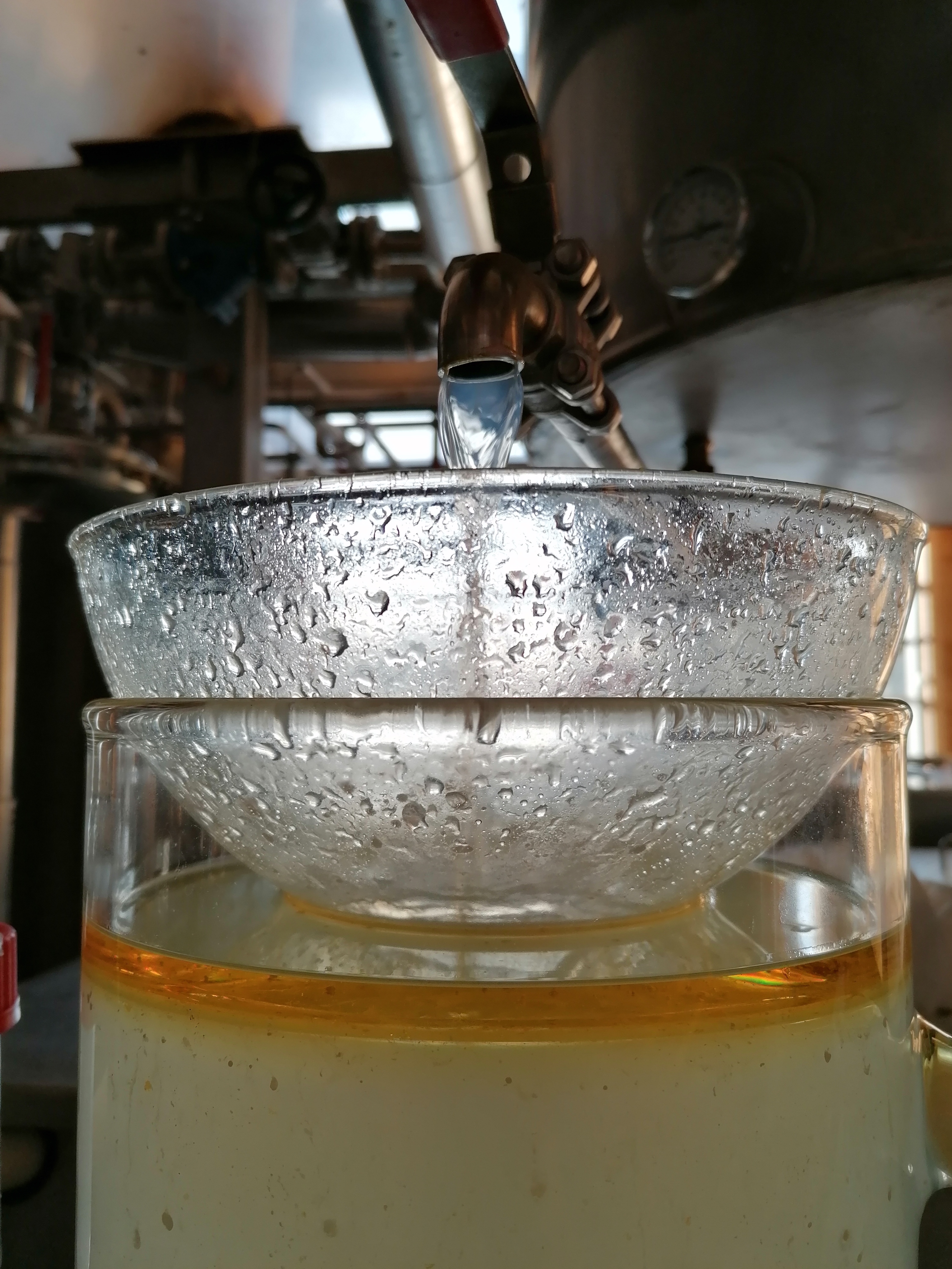 Discover the distillation Livage (Root)