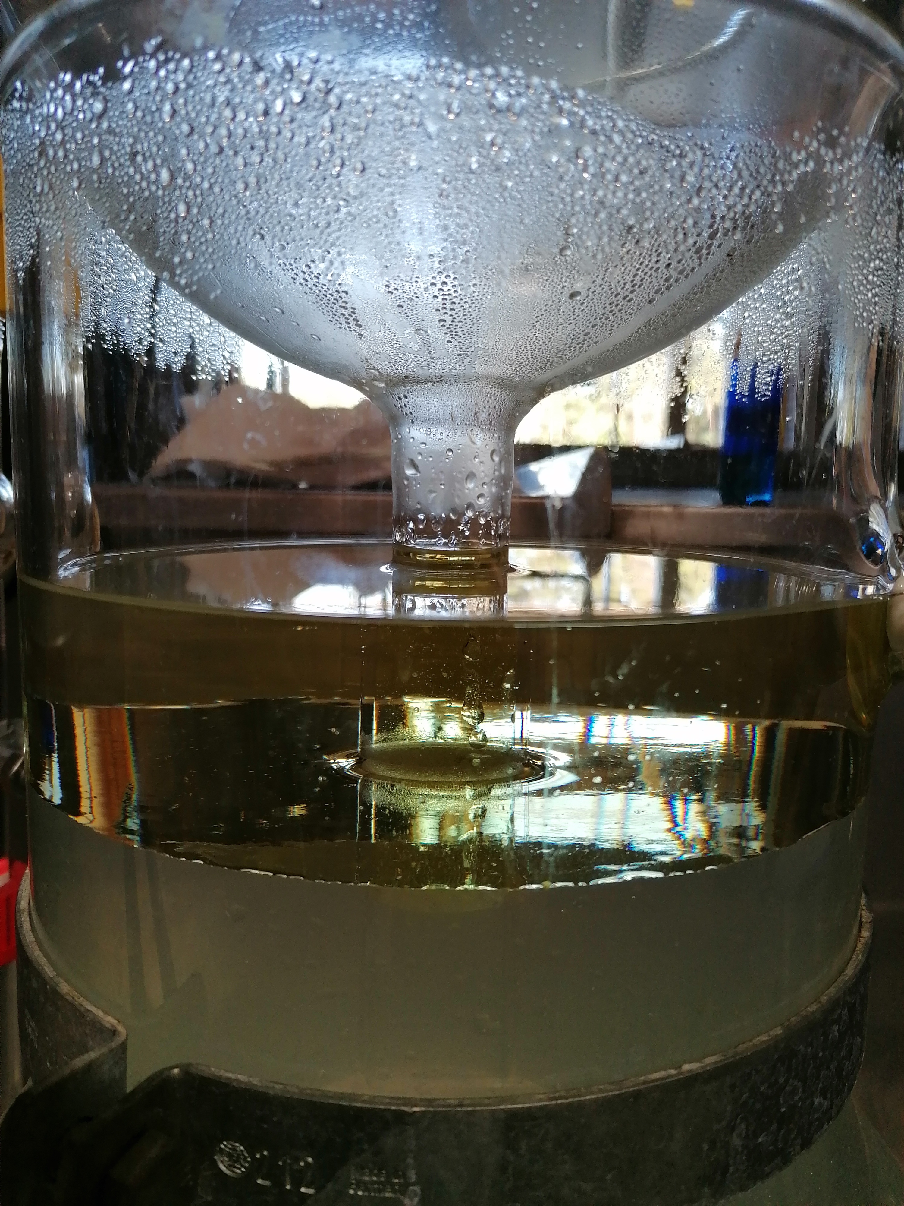 Distillation Photo