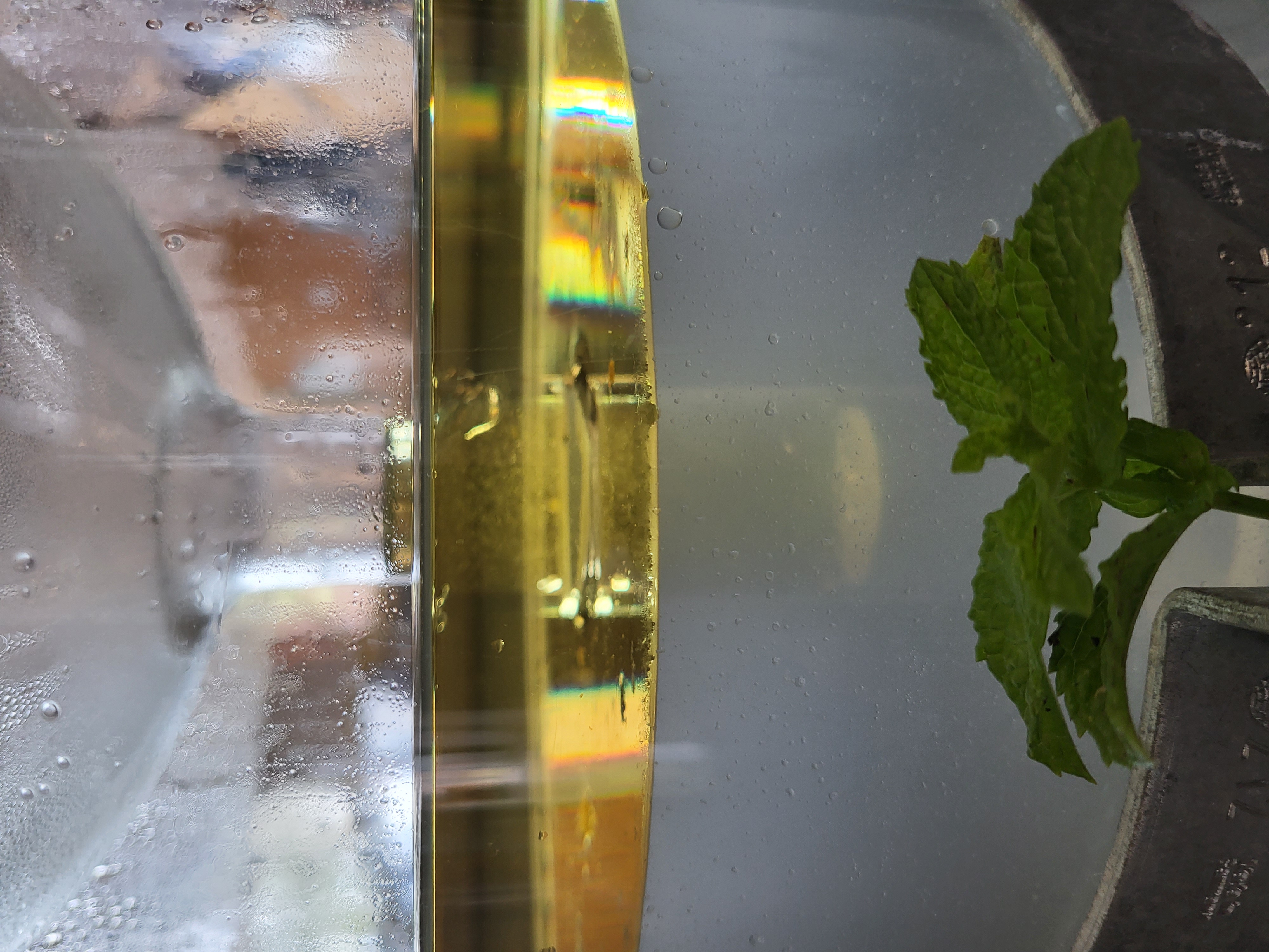 Discover the distillation Green mint