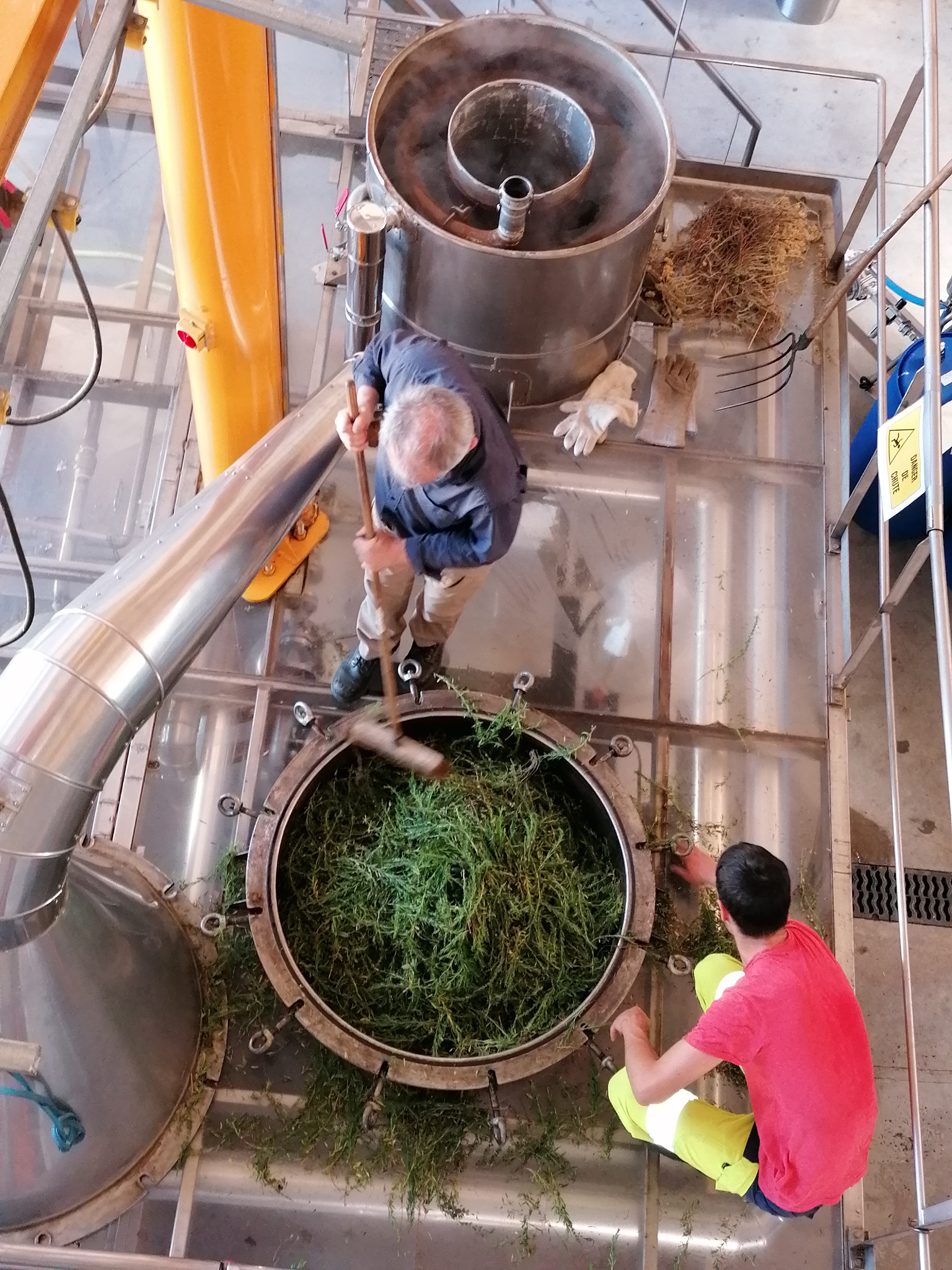 Decouvrez la distillation Sarriette des montagnes du Quercy