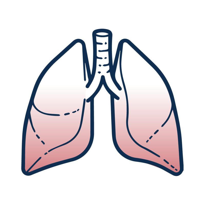 Respiratory allergies