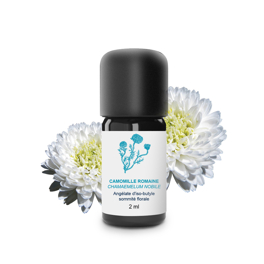 Essential Oil Roman chamomile