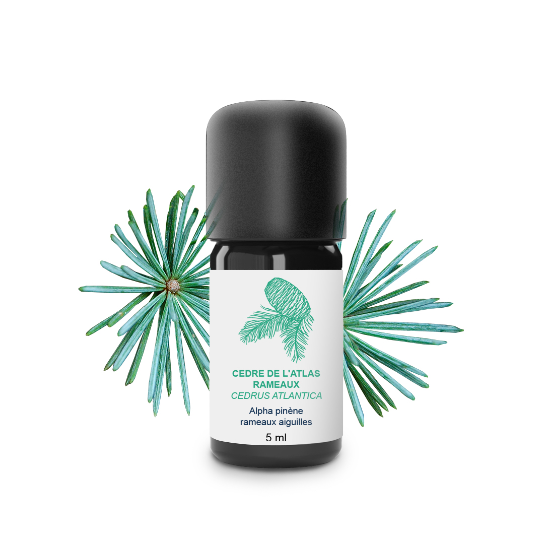 Essential Oil Cedar from Atlas