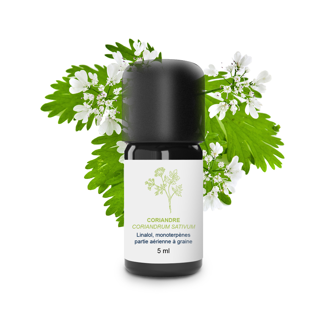 Essential Oil Coriander (Seeds)