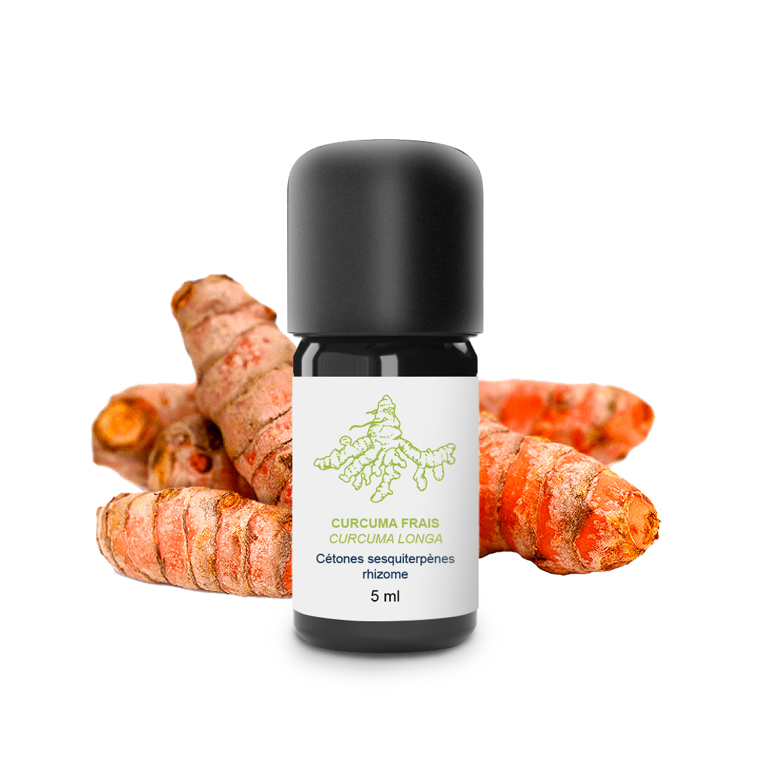 Essential Oil Turmeric (Rhizome)