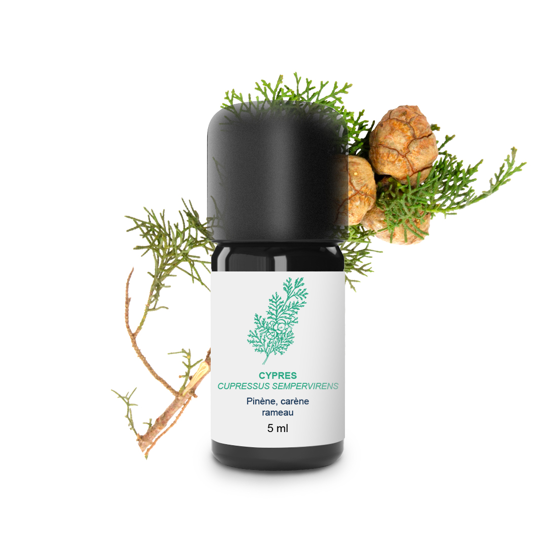 Essential Oil Cypress always green