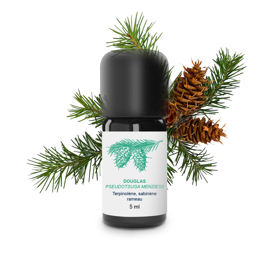 Essential Oil Douglas tree