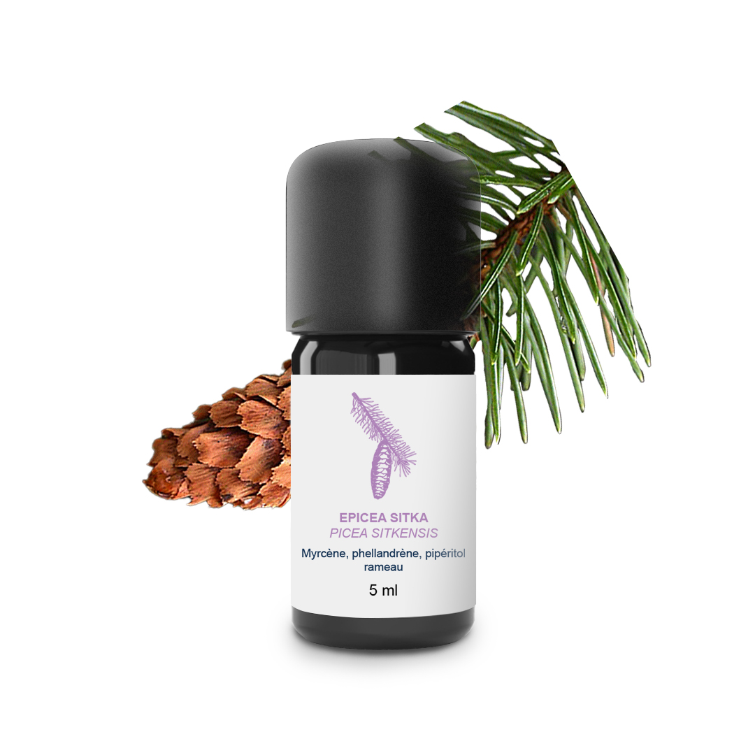 Essential Oil Epicea Sitka