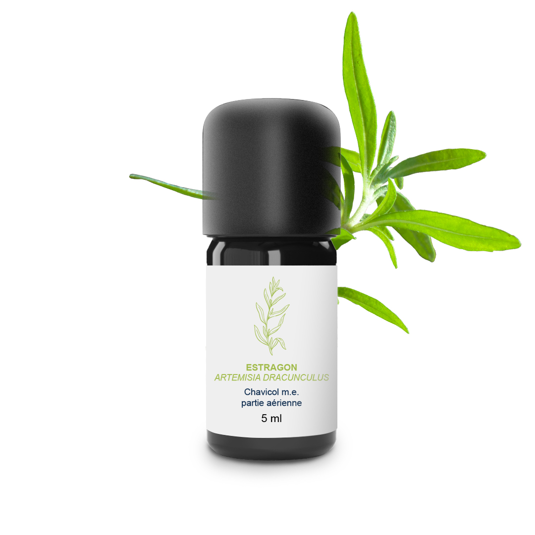 Essential Oil Tarragon